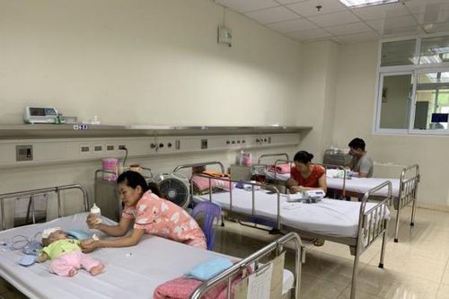 Hà Nội ghi nhận ca viêm não Nhật Bản đầu tiên