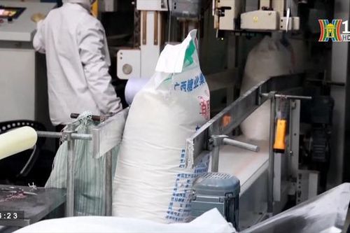 Thế giới đứng trước thách thức lớn về an ninh lương thực