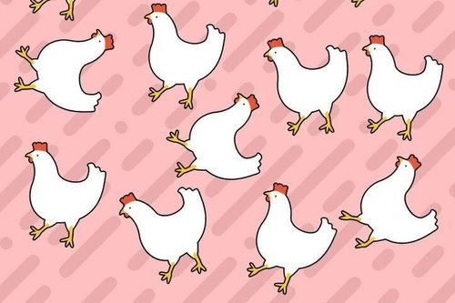 Chỉ ai có IQ cao ngất mới biết được con gà nào khác biệt