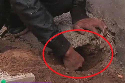 Chôn toàn bộ tiền tiết kiệm, 13 năm sau người đàn ông òa khóc khi đào lên