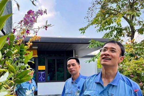 Người gieo 'mầm xanh' ở Stanley