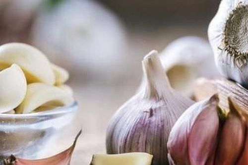 5 bài thuốc nam hỗ trợ điều trị cảm cúm hiệu quả