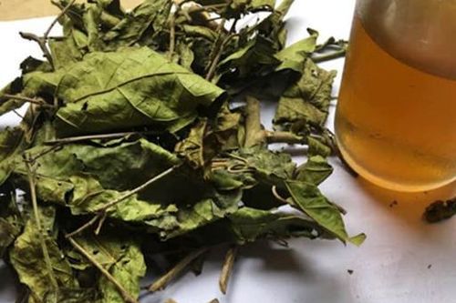 Có nên uống nước xạ đen hàng ngày?