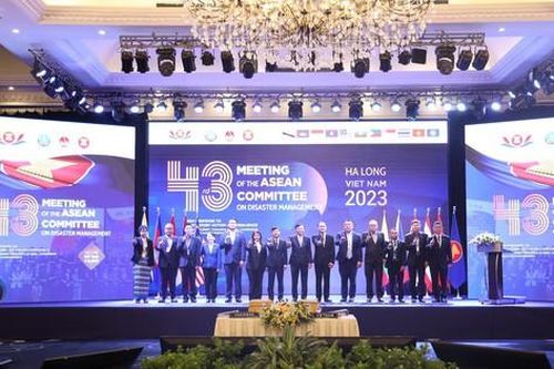Việt Nam sẽ tiếp tục tham gia tích cực trong các hoạt động quản lý thiên tai khu vực ASEAN
