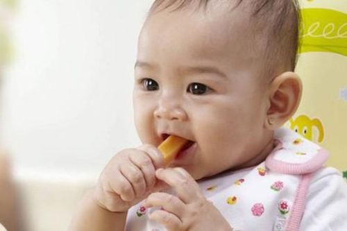 Cho trẻ ăn rau đúng cách giai đoạn ăn dặm
