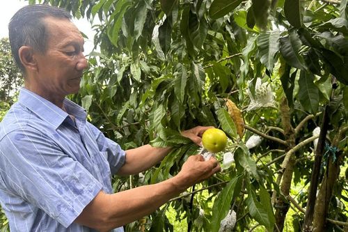 Những 'tỉ phú chân đất' ở Đồng Bằng sông Cửu Long