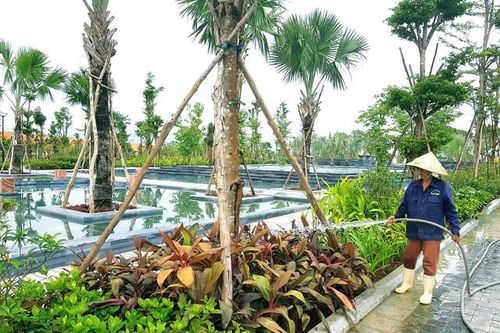 'Mong lãnh đạo TP. Đà Nẵng đặt mình ở vị trí doanh nghiệp để thấu hiểu'