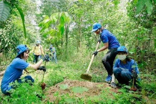 Yêu cầu bổ sung tài liệu về ứng phó sự cố vỡ đập và đa dạng sinh học đối với dự án hồ Ka Pét