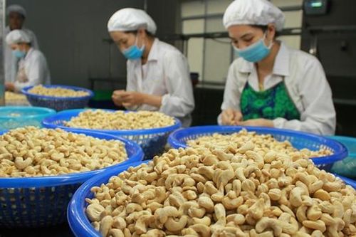 Việt Nam chi 2,73 tỷ USD nhập khẩu hạt điều