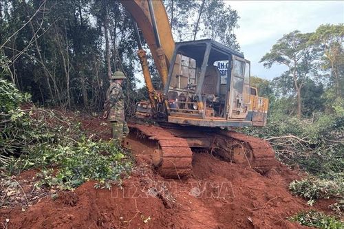 Đắk Nông: Bắt quả tang đối tượng dùng máy múc phá rừng