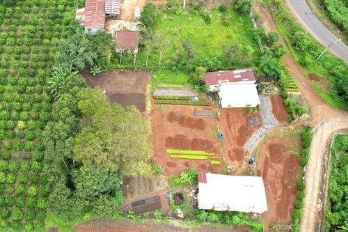 Nguyên Trưởng ban quản lý bảo vệ rừng lấn chiếm đất rừng