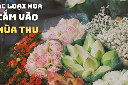 Top 10 loài hoa có thể khiến không gian nhà bạn trở nên ấm áp và sang trọng vào mùa thu