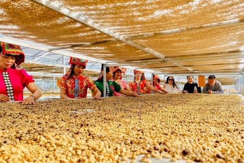 Xây dựng thương hiệu cho sản phẩm vùng đồng bào dân tộc, miền núi