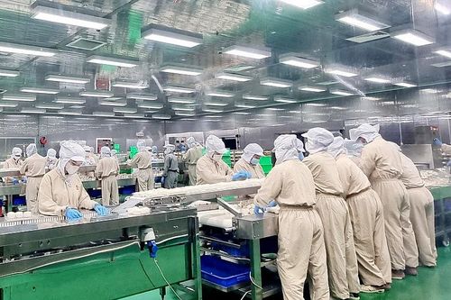 Vì sao KIDO nâng tỷ lệ sở hữu tại Thọ Phát Quốc Tế lên 68%?