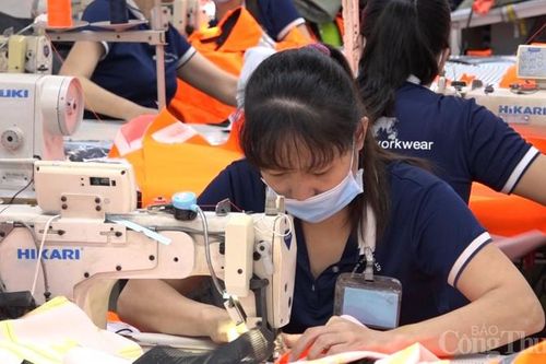 Doanh nghiệp kỳ vọng mùa xuất khẩu cuối năm