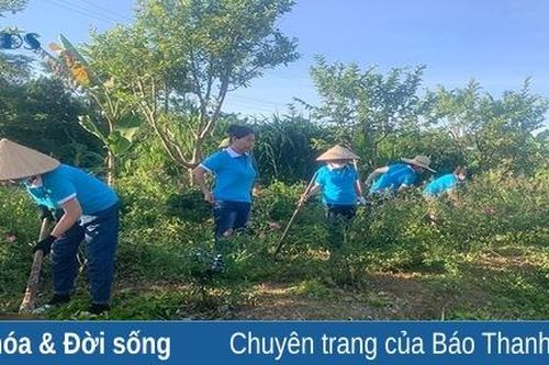 Phụ nữ Như Xuân chung sức xây dựng nông thôn mới