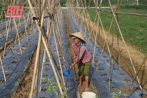 Thiệu Hóa sẵn sàng cho sản xuất vụ đông