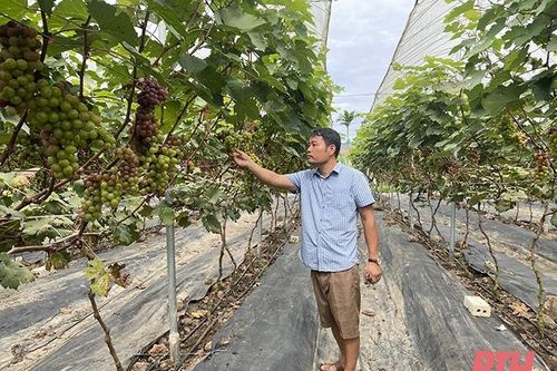 Tập trung phát triển kinh tế nông thôn, nâng cao thu nhập cho người dân