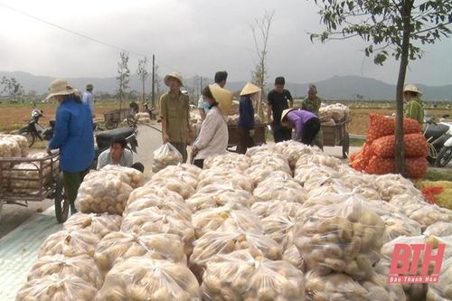 Thu hút nông dân tham gia vào các HTX nông nghiệp