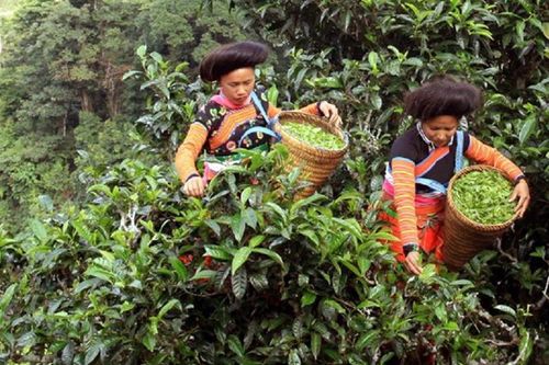 Định vị thương hiệu cho sản phẩm vùng đồng bào dân tộc thiểu số