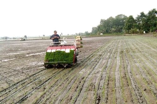 Tập trung lãnh đạo thực hiện đạt và vượt nhiều chỉ tiêu quan trọng của năm 2023