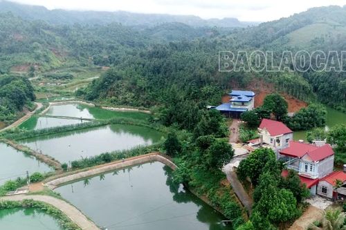 Triển khai Nghị quyết 10 tại Bảo Thắng: Tạo sức bật cho vùng nông thôn