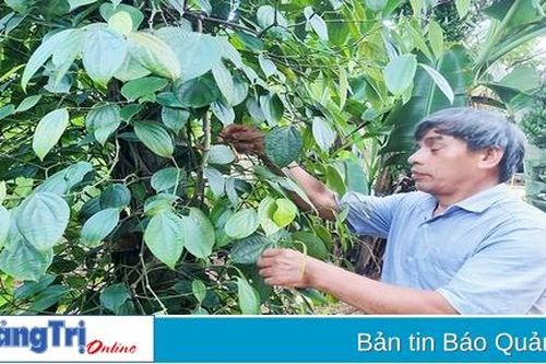 Quan tâm tạo việc làm cho người khuyết tật
