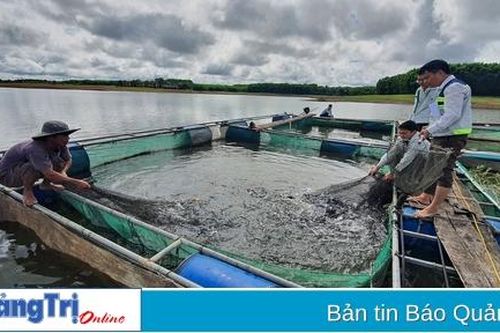Toàn tỉnh có hơn 1.300 ha nuôi thủy sản ở hồ chứa thủy lợi