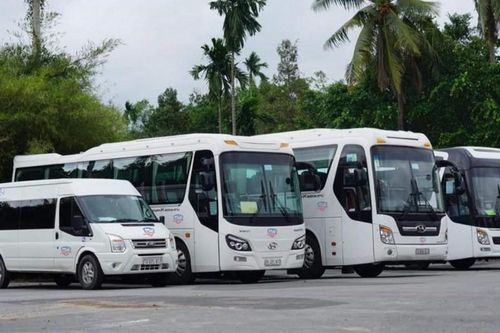 Hành trình khám phá vẻ đẹp miền Tây với dịch vụ thuê xe đi Cần Thơ và Đồng Tháp từ Thanh Hùng