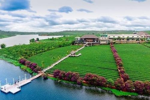 Tạo đà cho HTX phát triển giúp 'đánh thức' vùng quê Lâm Hà