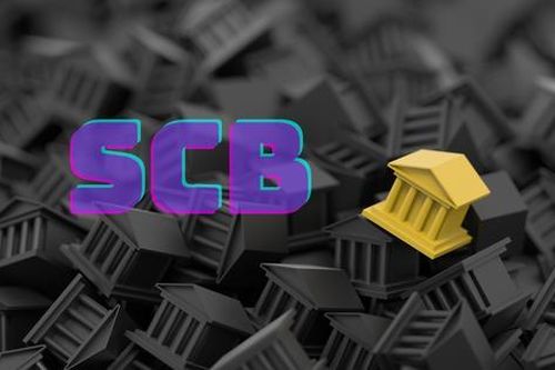 Ngân hàng Nhà nước báo cáo việc xử lý vụ ngân hàng SCB
