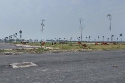 Lãng phí trong sử dụng đất, 126 dự án bị thu hồi, 22 dự án bị chấm dứt thực hiện