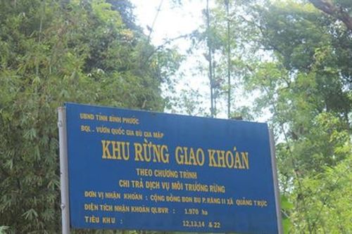 Cả nước thu hơn 2.000 tỷ đồng tiền dịch vụ môi trường rừng