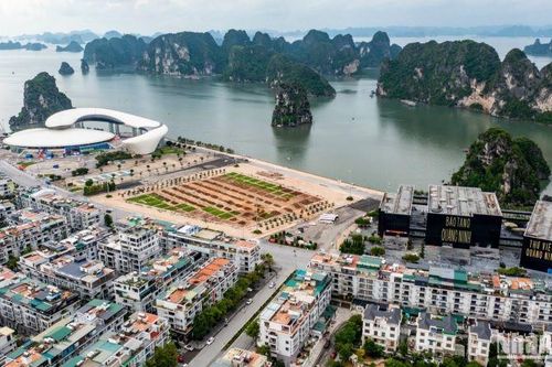 TP Hạ Long luôn đồng hành, hỗ trợ doanh nghiệp vượt khó
