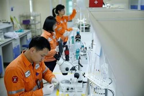 Masan: Đổi mới sáng tạo để phục vụ người tiêu dùng