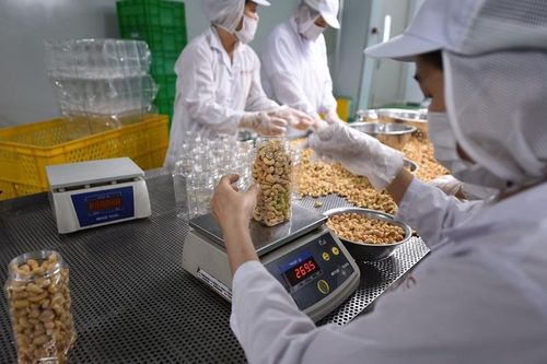 Điều nhân xuất khẩu tăng nhưng cảnh báo về an toàn thực phẩm