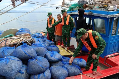 Đồn Biên phòng cửa khẩu cảng Vạn Gia bắt giữ, xử lý tàu đánh cá khai thác thủy sản sai vùng