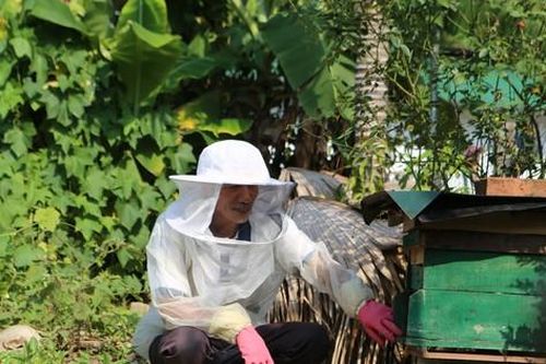 Nuôi ong lấy mật giúp nông dân miền núi thoát nghèo