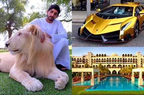 Thái tử Dubai thích làm thơ, nuôi 'quái thú' và khối tài sản 400 triệu USD