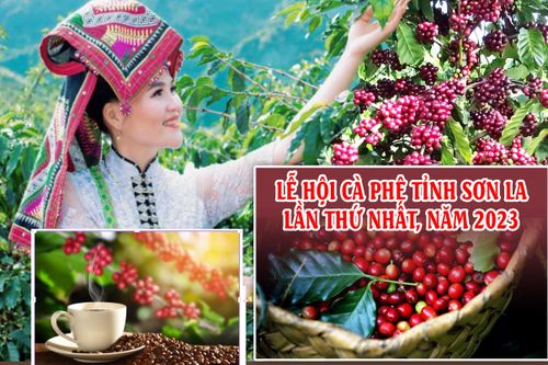 Nhiều hoạt động tại Lễ hội cà phê Sơn La lần thứ nhất