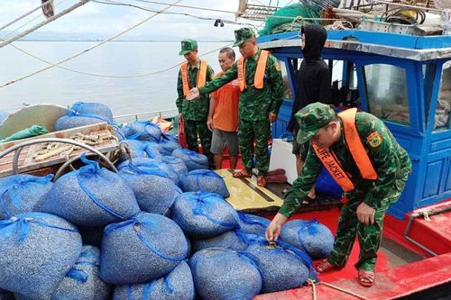 Quảng Ninh: Bắt giữ 7 tàu cá dùng ngư cụ cấm khai thác thủy sản