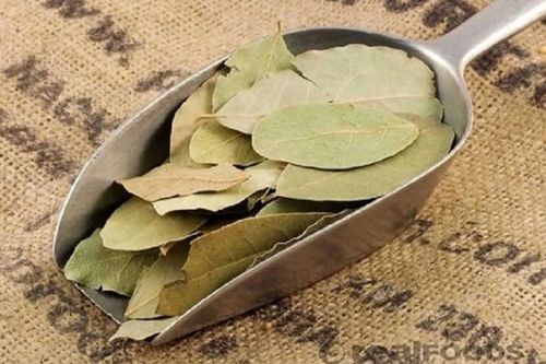 Loại lá chuyên dùng nấu phở, chỉ 8 tháng đầu năm xuất khẩu thu về 22 tỷ đồng