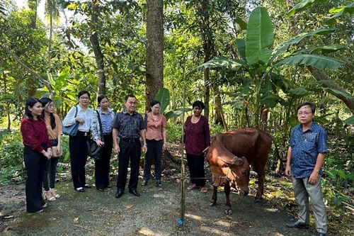 Giám sát chương trình giảm nghèo tại huyện Tri Tôn