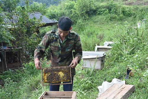 Giữ 'trái tim' đại ngàn vững nhịp đập (3)