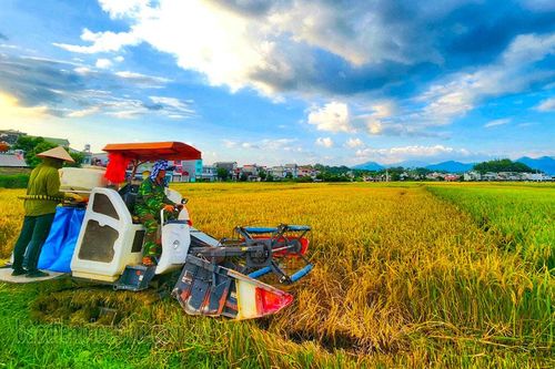 Những ngọn đuốc sáng trong lòng dân (3)
