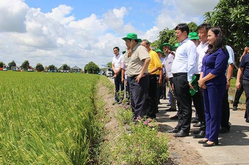Xây dựng tỉnh Đồng Tháp phát triển cân bằng, toàn diện, bền vững