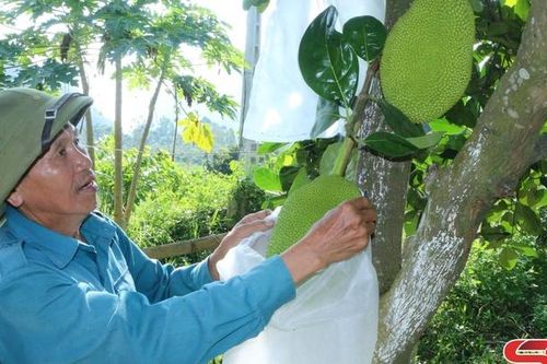 Đồng hành cùng nông dân đẩy mạnh sản xuất, kinh doanh giỏi