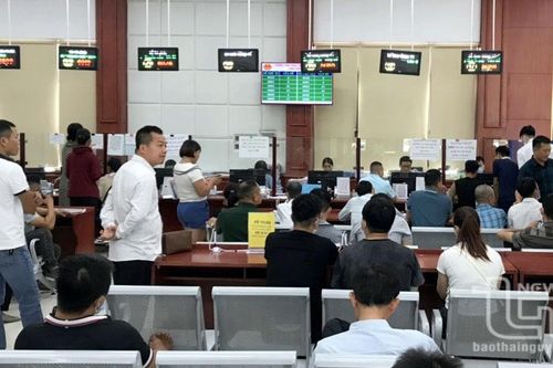 Sở Giao thông Vận tải bác thông tin bắt buộc đổi giấy phép lái xe sang thẻ PET
