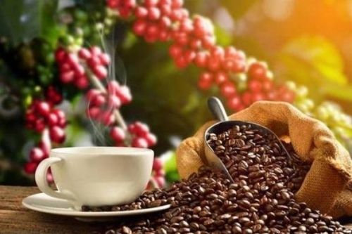 Việt Nam- Slovenia: Thương mại tăng 12 lần nhưng chưa xứng với tiềm năng