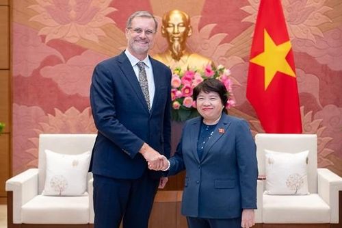 Chủ nhiệm Ủy ban Xã hội Nguyễn Thúy Anh tiếp Đại sứ Pháp tại Việt Nam